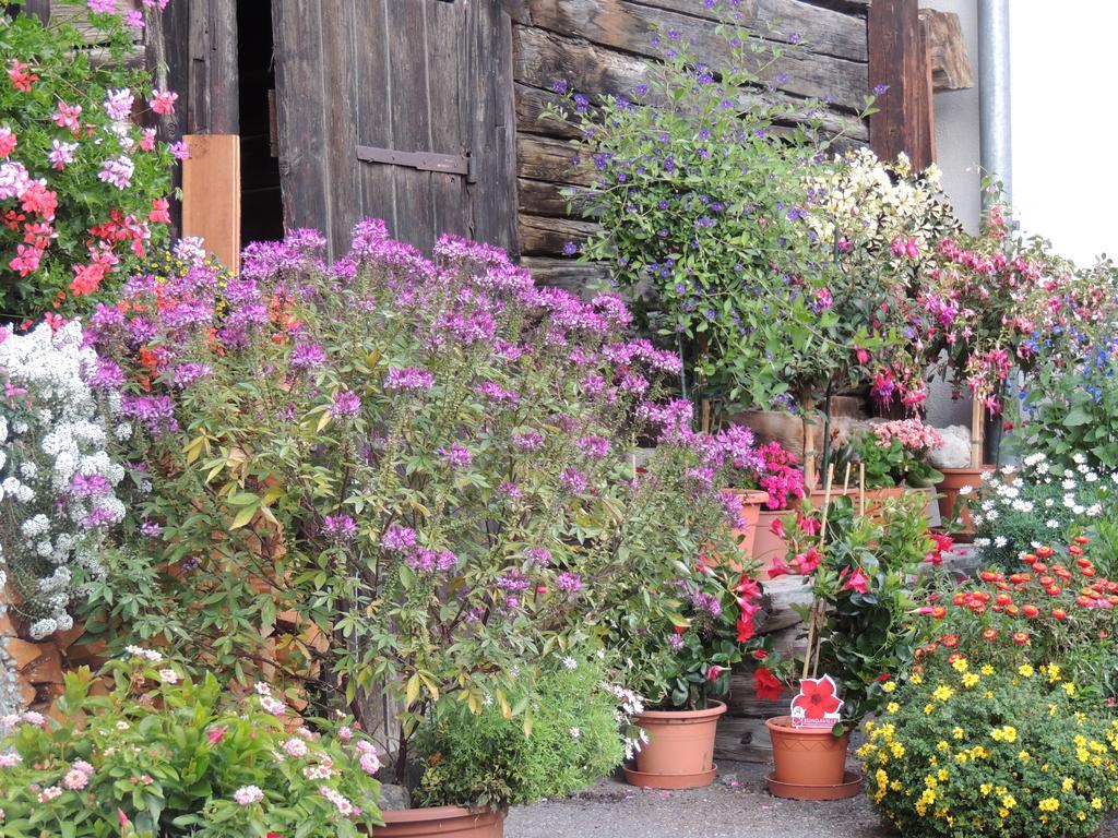 Haus Liaun 2 Apartman Brienz  Kültér fotó